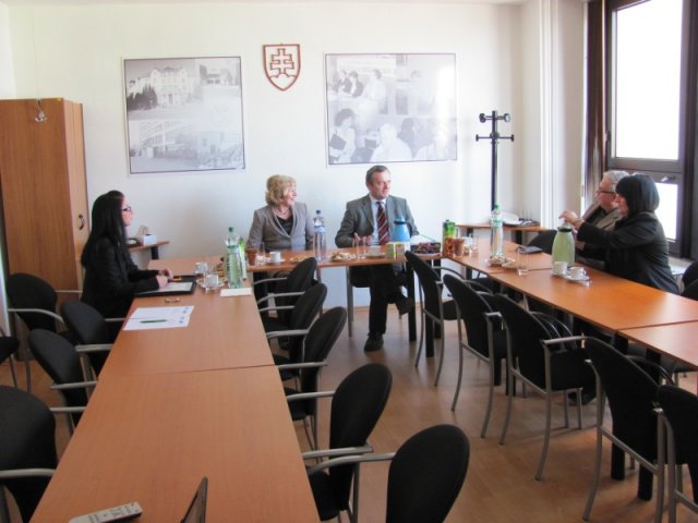 Porada projektového týmu 30. března 2011, Žilina